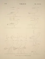 Picture 465 of 510 from Monuments de l'Égypte et de la Nubie, d'après les dessins exécutés sur les lieux sous la direction de Champollion-le-jeune, et les descriptions autographes qu'il en a rédigées; pub. sous les auspices de M. Guizot et de M. Thiers ... par une commission spéciale. Planches (1835), leaf 466
