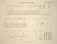 Picture 476 of 510 from Monuments de l'Égypte et de la Nubie, d'après les dessins exécutés sur les lieux sous la direction de Champollion-le-jeune, et les descriptions autographes qu'il en a rédigées; pub. sous les auspices de M. Guizot et de M. Thiers ... par une commission spéciale. Planches (1835), leaf 477