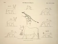 Picture 486 of 510 from Monuments de l'Égypte et de la Nubie, d'après les dessins exécutés sur les lieux sous la direction de Champollion-le-jeune, et les descriptions autographes qu'il en a rédigées; pub. sous les auspices de M. Guizot et de M. Thiers ... par une commission spéciale. Planches (1835), leaf 487