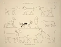 Picture 487 of 510 from Monuments de l'Égypte et de la Nubie, d'après les dessins exécutés sur les lieux sous la direction de Champollion-le-jeune, et les descriptions autographes qu'il en a rédigées; pub. sous les auspices de M. Guizot et de M. Thiers ... par une commission spéciale. Planches (1835), leaf 488