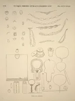 Picture 496 of 510 from Monuments de l'Égypte et de la Nubie, d'après les dessins exécutés sur les lieux sous la direction de Champollion-le-jeune, et les descriptions autographes qu'il en a rédigées; pub. sous les auspices de M. Guizot et de M. Thiers ... par une commission spéciale. Planches (1835), leaf 497
