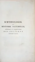 An illustration from Allgemeine Naturgeschichte der Fische. French = Ichtylogie, ou Histoire naturelle : generale et particuliere des poissons (1785)
