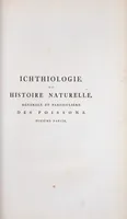 An illustration from Allgemeine Naturgeschichte der Fische. French = Ichtylogie, ou Histoire naturelle : generale et particuliere des poissons (1785)