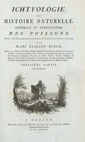 Picture 71 of 416 from Allgemeine Naturgeschichte der Fische. French = Ichtylogie, ou Histoire naturelle : generale et particuliere des poissons (1785), leaf 78