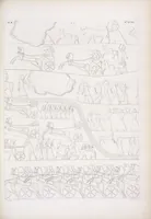 Picture 100 of 403 from I monumenti dell'Egitto e della Nubia disegnati dalla spedizione scientifico-letteraria toscana in Egitto; distribuiti in ordine di materie interpretati ed illustrati dal dottore Ippolito Rosellini (1832), leaf 102