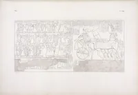 Picture 140 of 403 from I monumenti dell'Egitto e della Nubia disegnati dalla spedizione scientifico-letteraria toscana in Egitto; distribuiti in ordine di materie interpretati ed illustrati dal dottore Ippolito Rosellini (1832), leaf 144