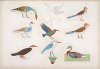 An illustration from I monumenti dell'Egitto e della Nubia disegnati dalla spedizione scientifico-letteraria toscana in Egitto; distribuiti in ordine di materie interpretati ed illustrati dal dottore Ippolito Rosellini (1832)