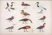 An illustration from I monumenti dell'Egitto e della Nubia disegnati dalla spedizione scientifico-letteraria toscana in Egitto; distribuiti in ordine di materie interpretati ed illustrati dal dottore Ippolito Rosellini (1832)