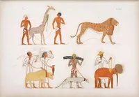 Picture 199 of 403 from I monumenti dell'Egitto e della Nubia disegnati dalla spedizione scientifico-letteraria toscana in Egitto; distribuiti in ordine di materie interpretati ed illustrati dal dottore Ippolito Rosellini (1832), leaf 203