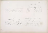 Picture 203 of 403 from I monumenti dell'Egitto e della Nubia disegnati dalla spedizione scientifico-letteraria toscana in Egitto; distribuiti in ordine di materie interpretati ed illustrati dal dottore Ippolito Rosellini (1832), leaf 207