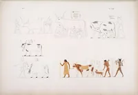 Picture 204 of 403 from I monumenti dell'Egitto e della Nubia disegnati dalla spedizione scientifico-letteraria toscana in Egitto; distribuiti in ordine di materie interpretati ed illustrati dal dottore Ippolito Rosellini (1832), leaf 208