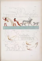 An illustration from I monumenti dell'Egitto e della Nubia disegnati dalla spedizione scientifico-letteraria toscana in Egitto; distribuiti in ordine di materie interpretati ed illustrati dal dottore Ippolito Rosellini (1832)