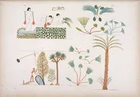 Picture 217 of 403 from I monumenti dell'Egitto e della Nubia disegnati dalla spedizione scientifico-letteraria toscana in Egitto; distribuiti in ordine di materie interpretati ed illustrati dal dottore Ippolito Rosellini (1832), leaf 221