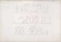Picture 301 of 403 from I monumenti dell'Egitto e della Nubia disegnati dalla spedizione scientifico-letteraria toscana in Egitto; distribuiti in ordine di materie interpretati ed illustrati dal dottore Ippolito Rosellini (1832), leaf 305