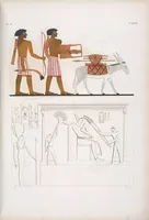 Picture 32 of 403 from I monumenti dell'Egitto e della Nubia disegnati dalla spedizione scientifico-letteraria toscana in Egitto; distribuiti in ordine di materie interpretati ed illustrati dal dottore Ippolito Rosellini (1832), leaf 33