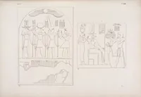 Picture 349 of 403 from I monumenti dell'Egitto e della Nubia disegnati dalla spedizione scientifico-letteraria toscana in Egitto; distribuiti in ordine di materie interpretati ed illustrati dal dottore Ippolito Rosellini (1832), leaf 353