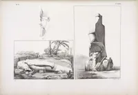 Picture 83 of 403 from I monumenti dell'Egitto e della Nubia disegnati dalla spedizione scientifico-letteraria toscana in Egitto; distribuiti in ordine di materie interpretati ed illustrati dal dottore Ippolito Rosellini (1832), leaf 85