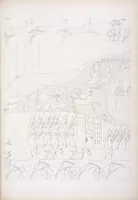 An illustration from I monumenti dell'Egitto e della Nubia disegnati dalla spedizione scientifico-letteraria toscana in Egitto; distribuiti in ordine di materie interpretati ed illustrati dal dottore Ippolito Rosellini (1832)