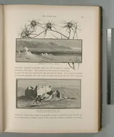 Picture 100 of 575 from Picturesque Palestine, Sinai and Egypt (1881), leaf 106