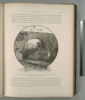 Picture 106 of 575 from Picturesque Palestine, Sinai and Egypt (1881), leaf 114