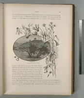 An illustration from Picturesque Palestine, Sinai and Egypt (1881)