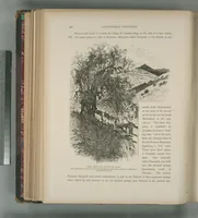 Picture 123 of 575 from Picturesque Palestine, Sinai and Egypt (1881), leaf 131