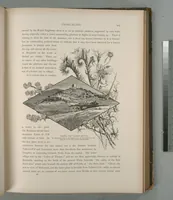 An illustration from Picturesque Palestine, Sinai and Egypt (1881)