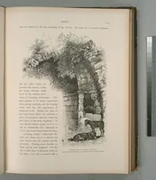 Picture 137 of 575 from Picturesque Palestine, Sinai and Egypt (1881), leaf 146