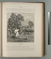 Picture 142 of 575 from Picturesque Palestine, Sinai and Egypt (1881), leaf 151