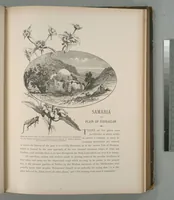 Picture 148 of 575 from Picturesque Palestine, Sinai and Egypt (1881), leaf 157