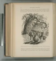 Picture 149 of 575 from Picturesque Palestine, Sinai and Egypt (1881), leaf 158