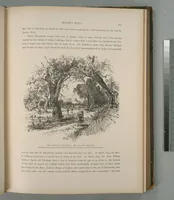 Picture 150 of 575 from Picturesque Palestine, Sinai and Egypt (1881), leaf 159