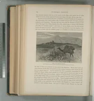 Picture 165 of 575 from Picturesque Palestine, Sinai and Egypt (1881), leaf 175