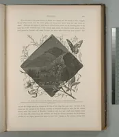 Picture 168 of 575 from Picturesque Palestine, Sinai and Egypt (1881), leaf 178