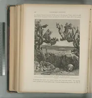 Picture 169 of 575 from Picturesque Palestine, Sinai and Egypt (1881), leaf 179