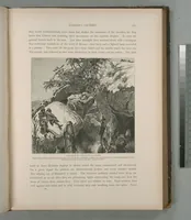 Picture 172 of 575 from Picturesque Palestine, Sinai and Egypt (1881), leaf 182