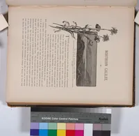 Picture 195 of 575 from Picturesque Palestine, Sinai and Egypt (1881), leaf 206