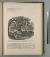 Picture 214 of 575 from Picturesque Palestine, Sinai and Egypt (1881), leaf 225