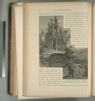 Picture 215 of 575 from Picturesque Palestine, Sinai and Egypt (1881), leaf 226
