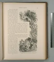 Picture 216 of 575 from Picturesque Palestine, Sinai and Egypt (1881), leaf 227