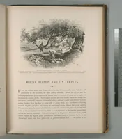 Picture 223 of 575 from Picturesque Palestine, Sinai and Egypt (1881), leaf 235