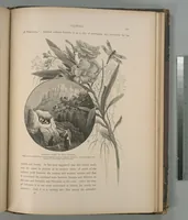Picture 274 of 575 from Picturesque Palestine, Sinai and Egypt (1881), leaf 287