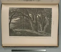 An illustration from Picturesque Palestine, Sinai and Egypt (1881)