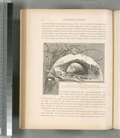 Picture 333 of 575 from Picturesque Palestine, Sinai and Egypt (1881), leaf 354