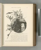 Picture 346 of 575 from Picturesque Palestine, Sinai and Egypt (1881), leaf 370