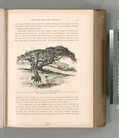 Picture 368 of 575 from Picturesque Palestine, Sinai and Egypt (1881), leaf 393