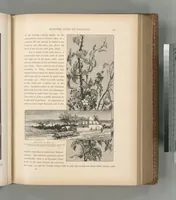 Picture 385 of 575 from Picturesque Palestine, Sinai and Egypt (1881), leaf 410