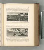 Picture 393 of 575 from Picturesque Palestine, Sinai and Egypt (1881), leaf 418