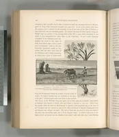Picture 397 of 575 from Picturesque Palestine, Sinai and Egypt (1881), leaf 423