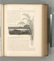 An illustration from Picturesque Palestine, Sinai and Egypt (1881)